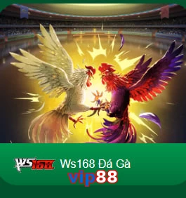 vip88